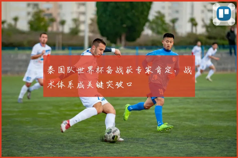 泰国队世界杯备战获专家肯定，战术体系成关键突破口
