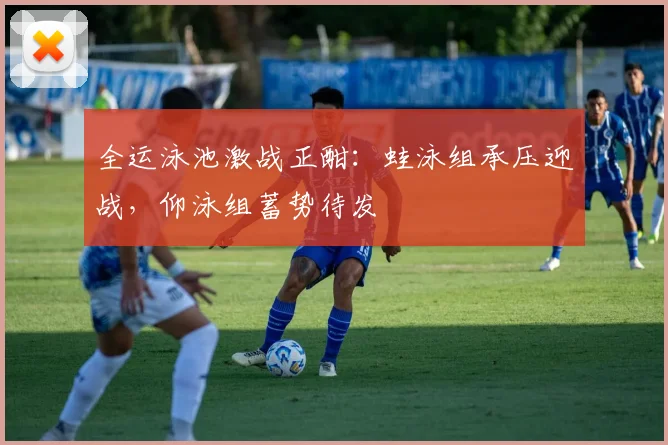 全运泳池激战正酣:蛙泳组承压迎战,仰泳组蓄势待发